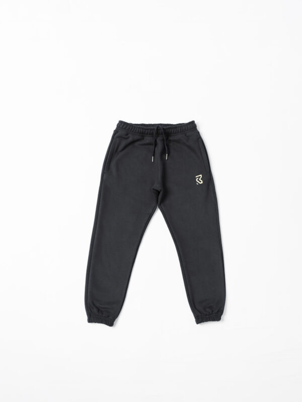 Antique Gold Embroidered Joggers - Zinc Blue