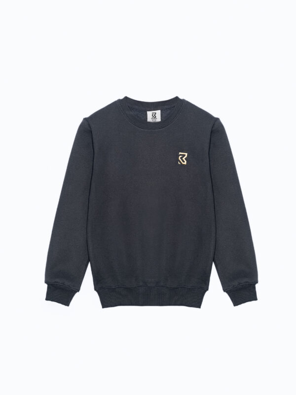 Embroidered Sweatshirt - Zinc Blue